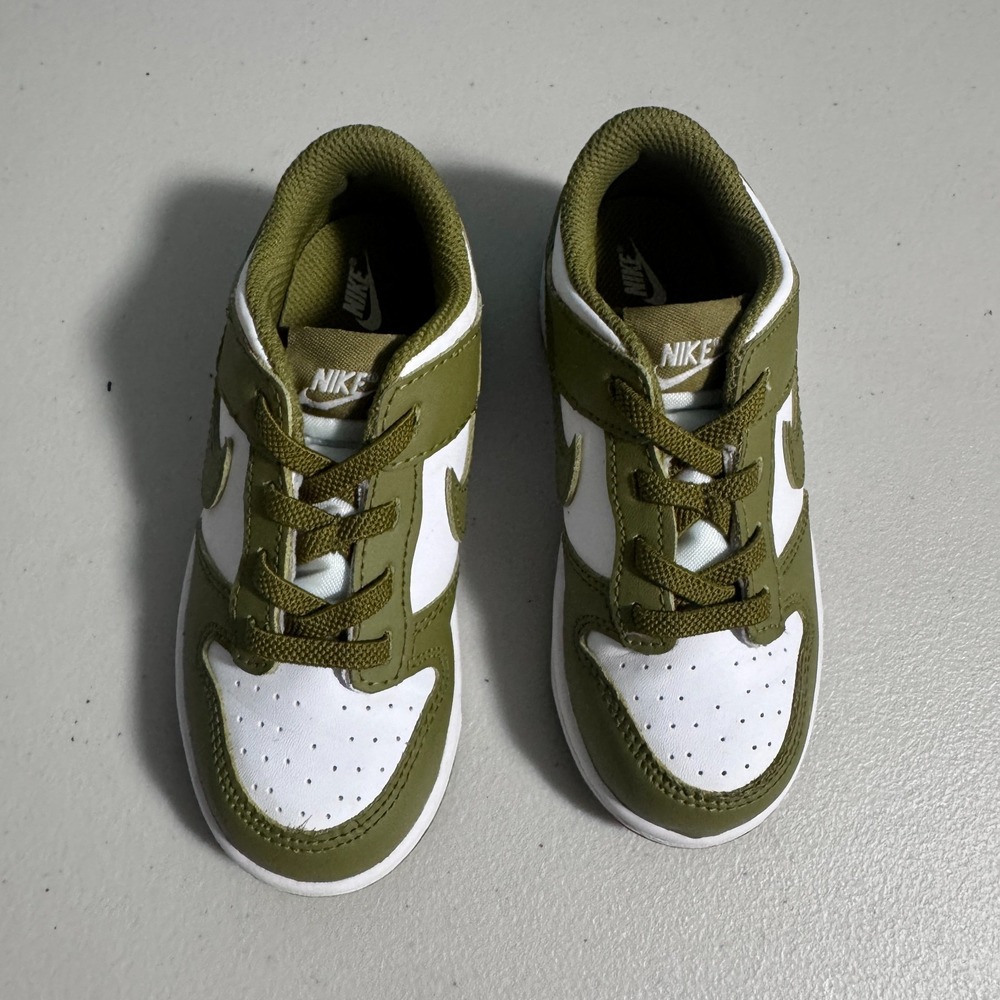Nike Air Dunk Low (TDE) Kids 10c Pacific Moss Casual School Classic FB9107-108